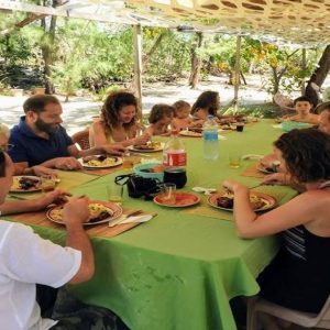 Any 2 activities + Full Day Speedboat – GRSE Waterfall + Lunch&Drinks + Ile Aux Cerfs